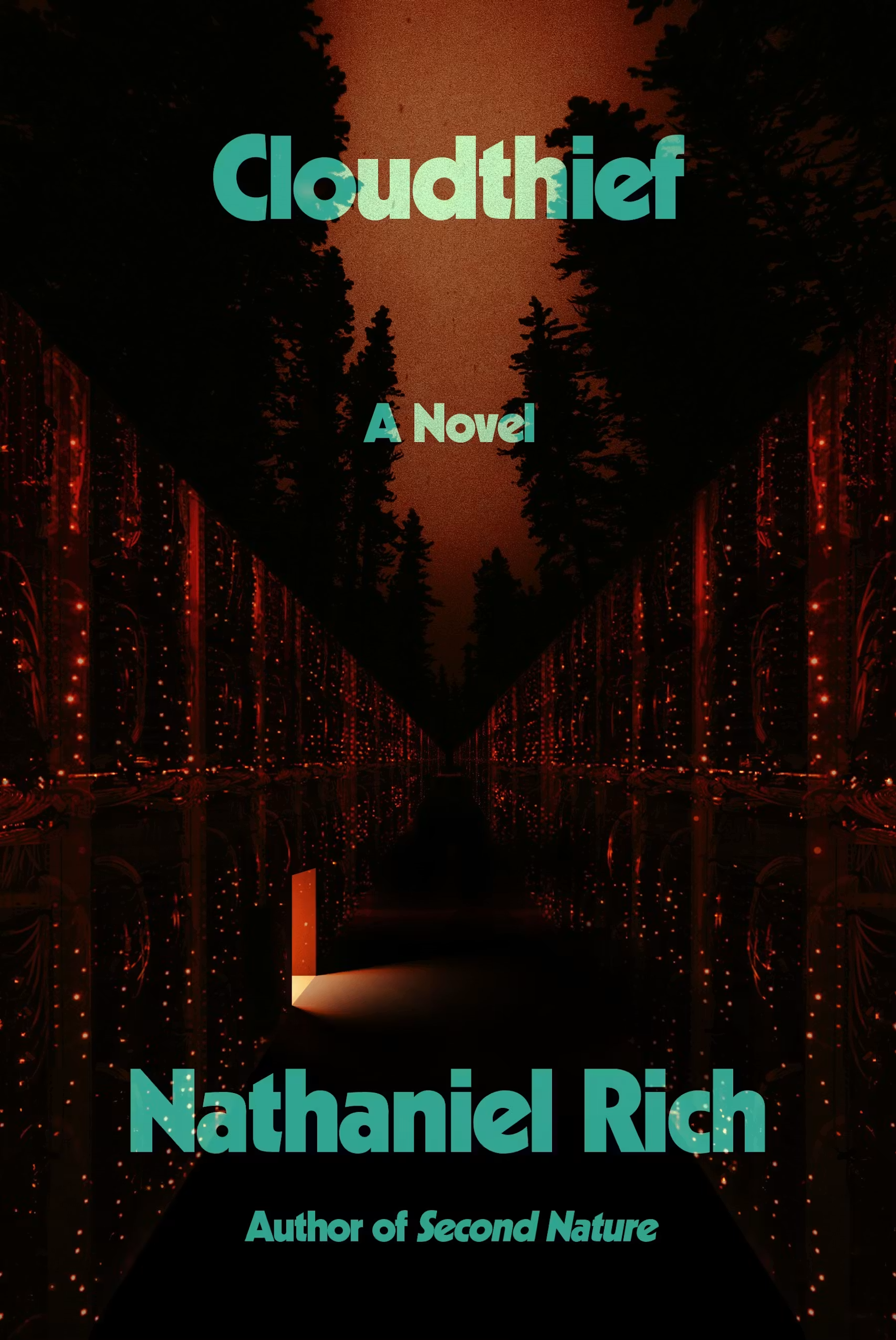 Cloudthief : a novel / Nathaniel Rich.