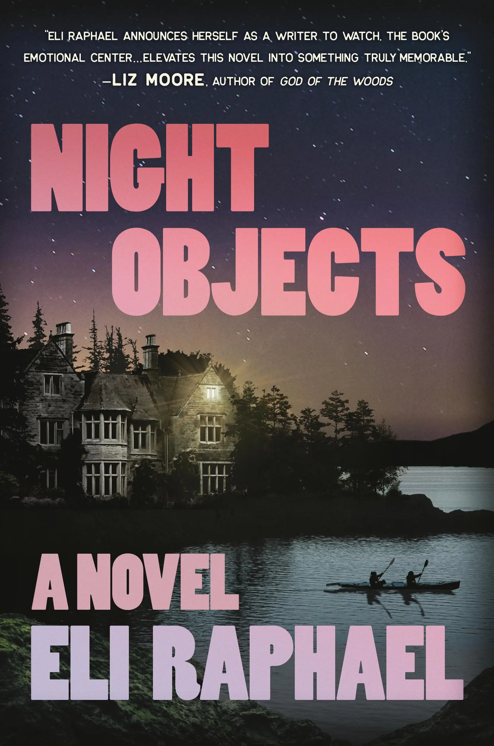 Night objects : a novel / Eli Raphael.