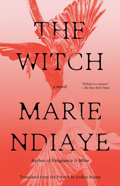 The witch : a novel / Marie NDiaye ; translated from the French by Jordan Stump.
