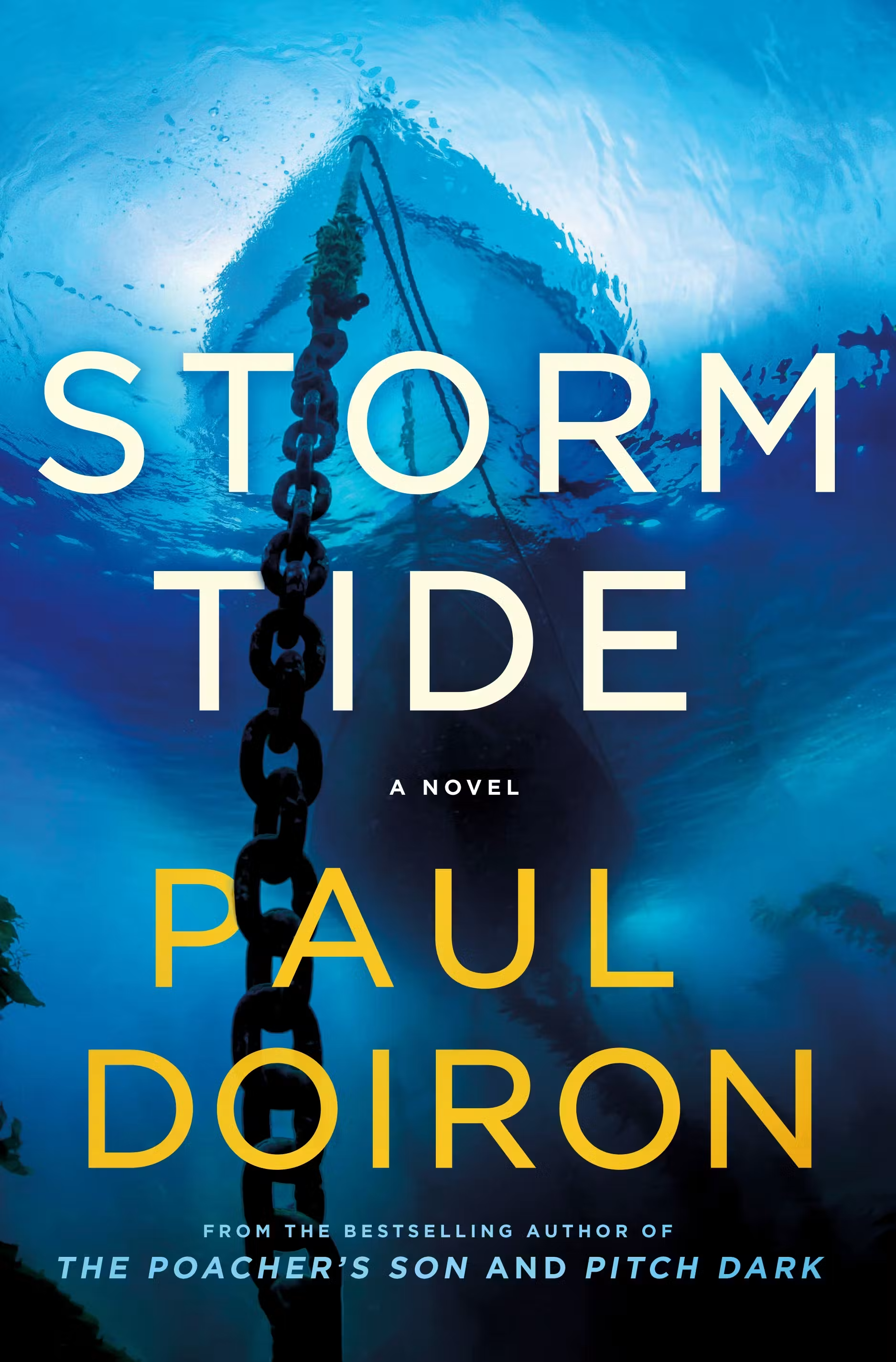 Storm tide / Paul Doiron.