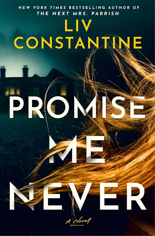 Promise me never : a novel / Liv Constantine.