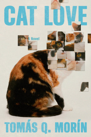 Cat love / Tomás Q. Morín.
