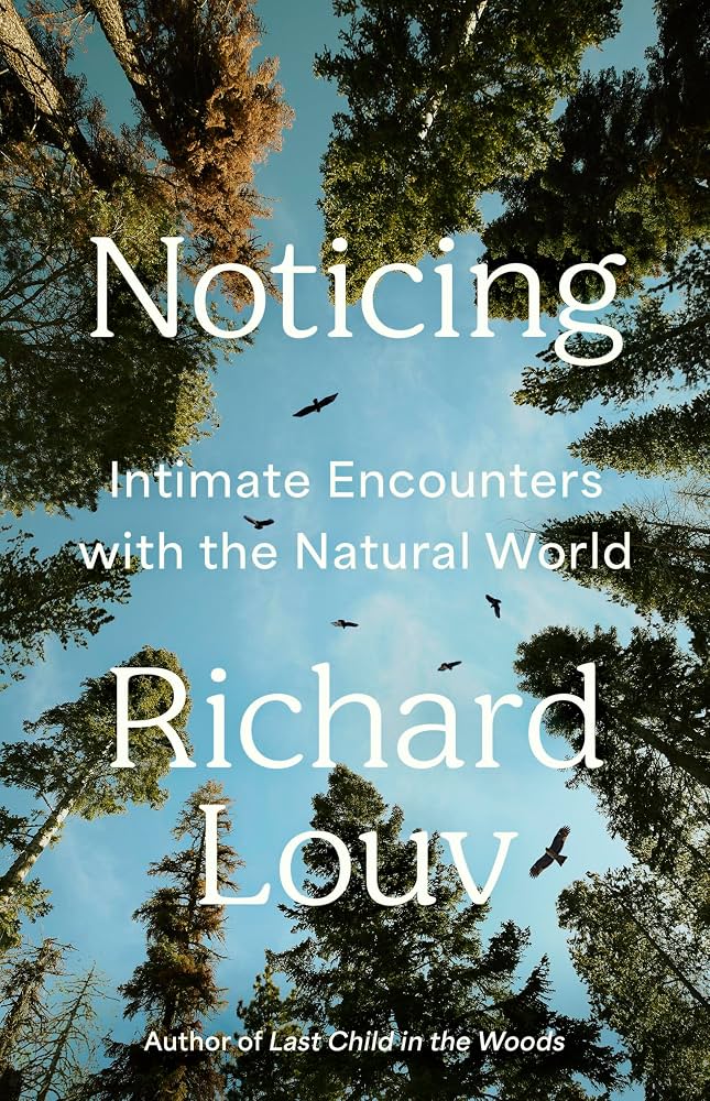 Noticing : intimate encounters with the natural world / Richard Louv ; photographs by the author.