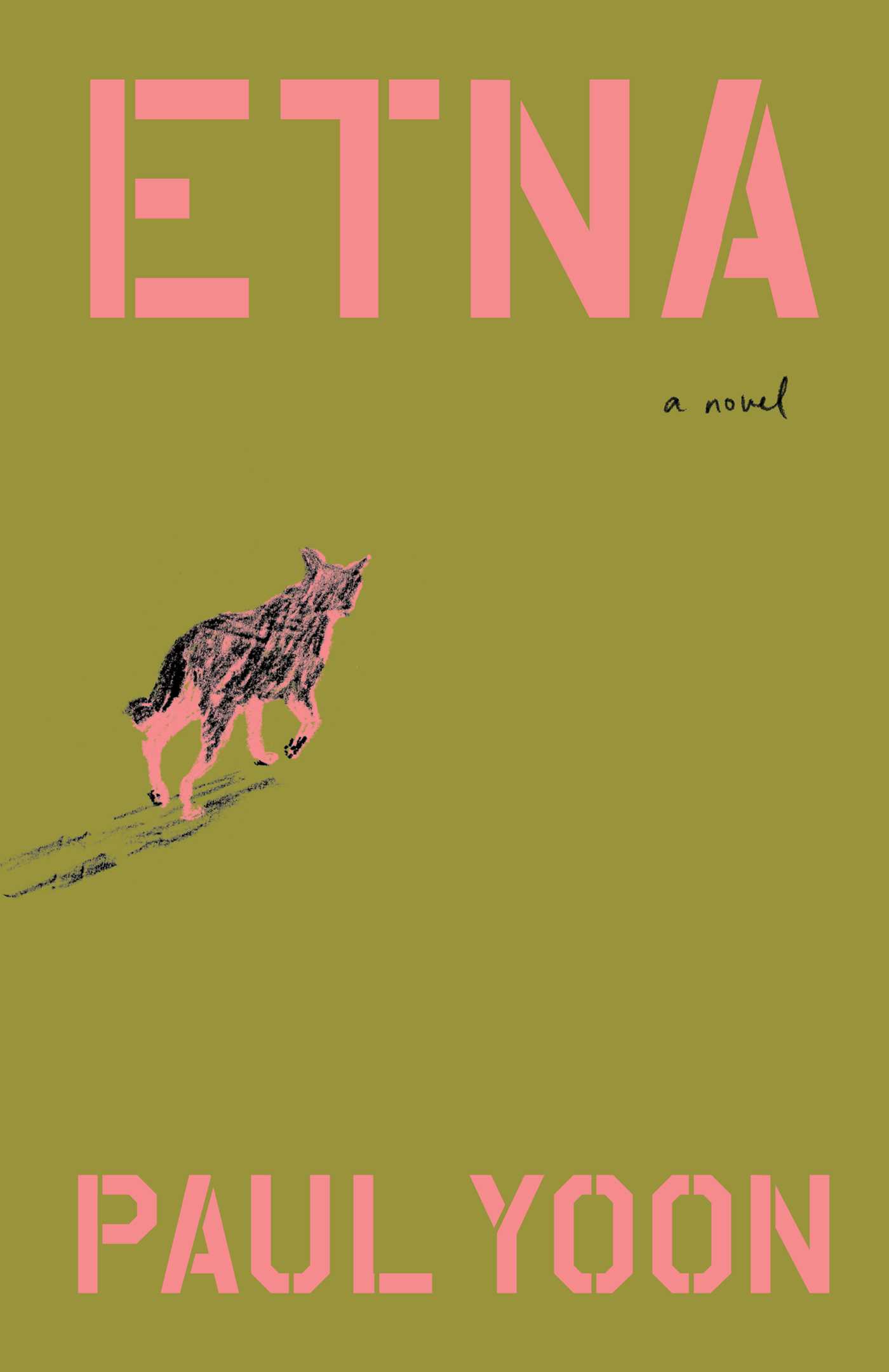 Etna : a novel / Paul Yoon