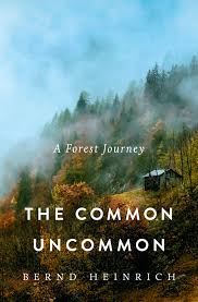The common uncommon : a forest journey / Bernd Heinrich.