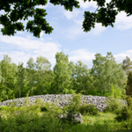 Mound of gravel in a green space.