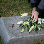 Hands place lilies on a gravestone.
