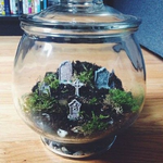 Example of a ceme-terrarium.